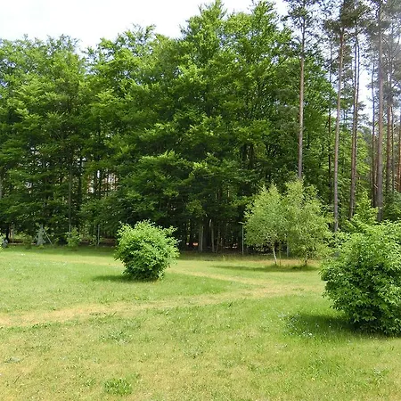 Apartment Ostseetraum Graal-müritz Graal-Mueritz