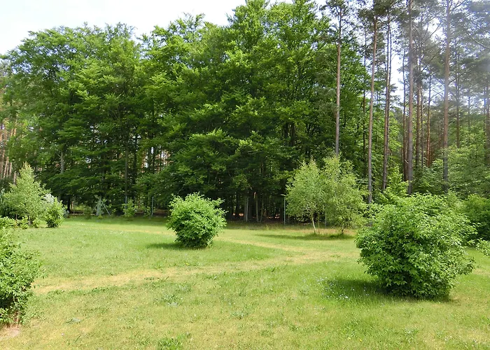 Ostseetraum 公寓 *